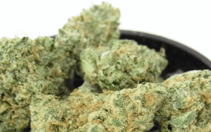 Why you should shop early for cannabis deals