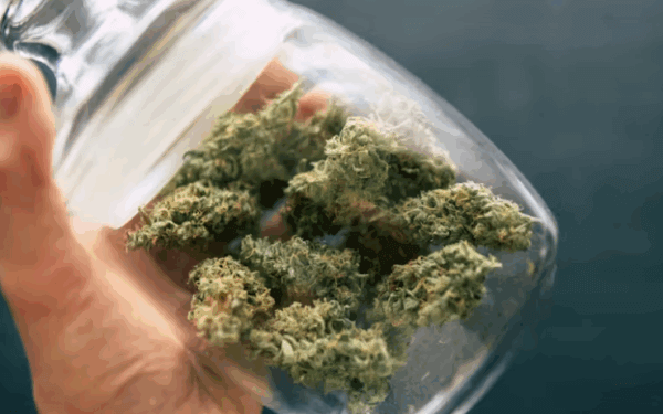 THC tolerance: here’s why t-breaks work so quickly