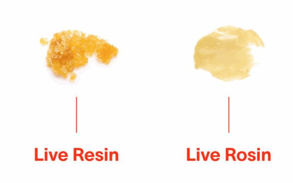 Live Rosin: A Beginner’s Guide