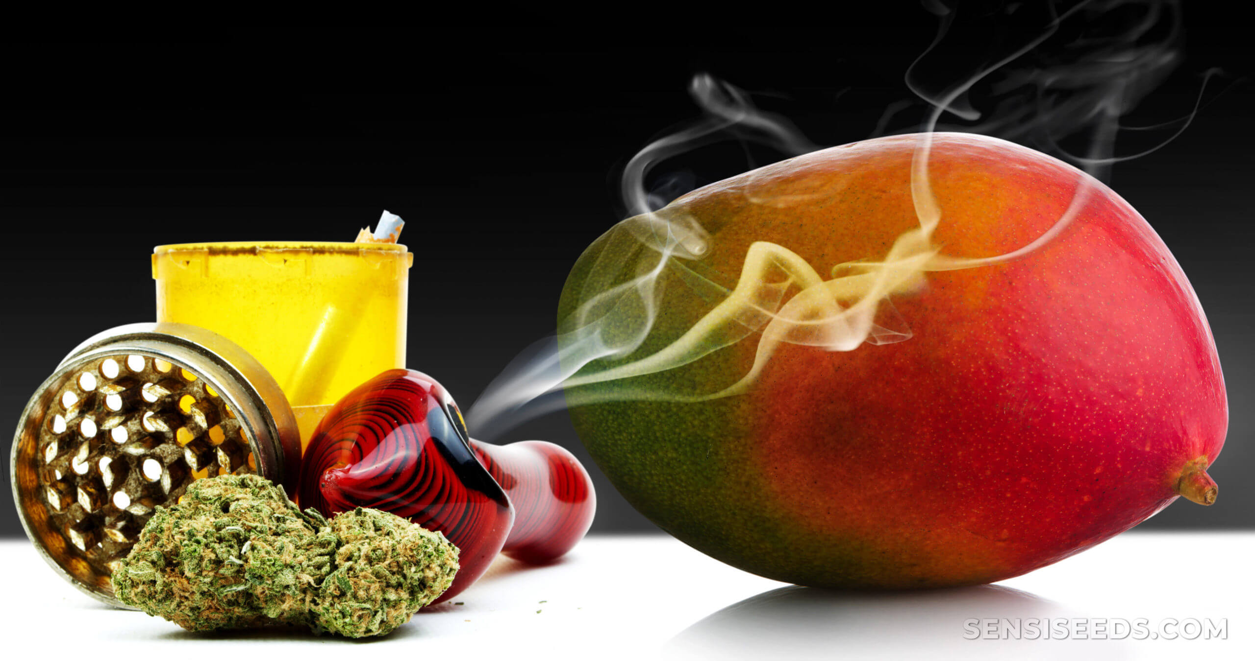 Mangoes and Weed: Do They Really Get You Higher?